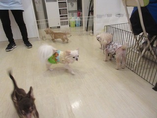 IMG_0224.jpg