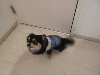 IMG_0236.jpg