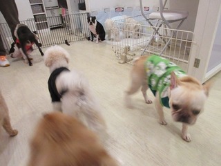 IMG_0254.jpg