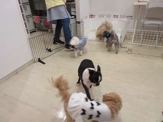 IMG_0269.jpg