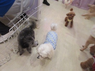 IMG_0276.jpg