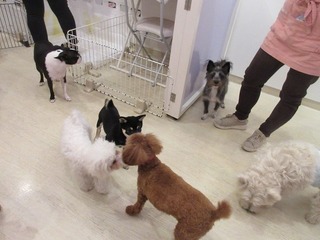 IMG_0297.jpg