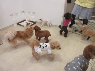 IMG_0323.jpg