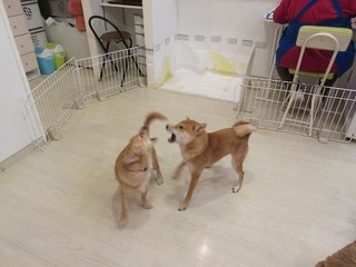 IMG_0324.jpg
