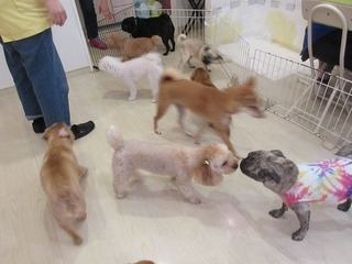 IMG_0332.jpg