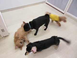 IMG_0352.jpg
