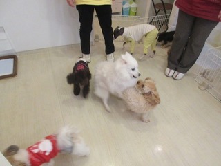 IMG_0378.jpg