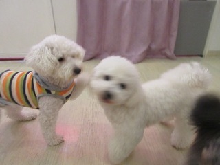 IMG_0405.jpg