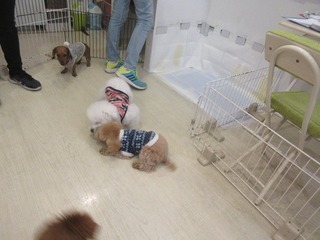 IMG_0443.jpg