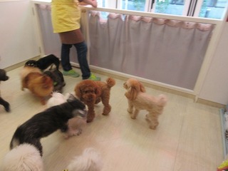 IMG_0448.jpg