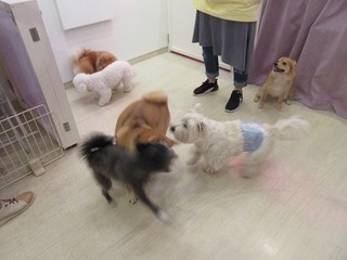 IMG_0456.jpg