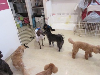 IMG_0564.jpg