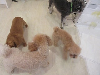IMG_0580.jpg