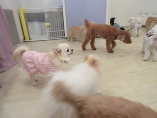 IMG_0585.jpg