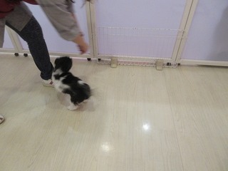IMG_0618.jpg