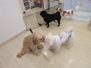 IMG_0631.jpg