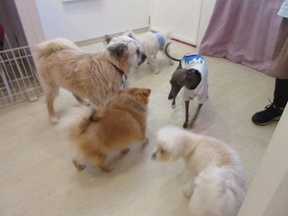 IMG_0665.jpg