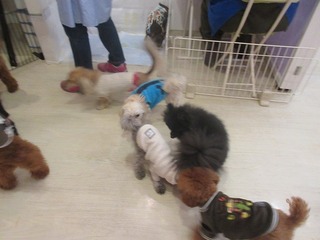 IMG_0669.jpg