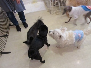 IMG_0670.jpg
