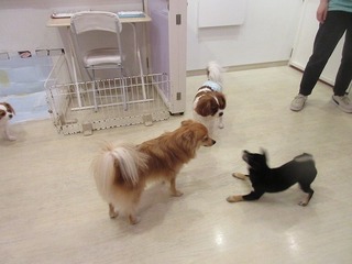 IMG_0671.jpg