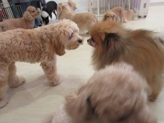 IMG_0683.jpg