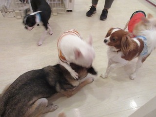 IMG_0720.jpg