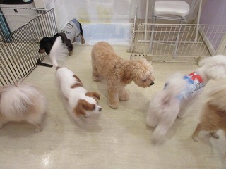 IMG_0734.jpg
