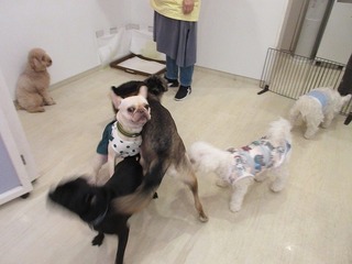 IMG_0739.jpg