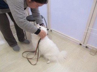 IMG_0747.jpg