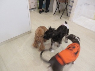 IMG_0756.jpg