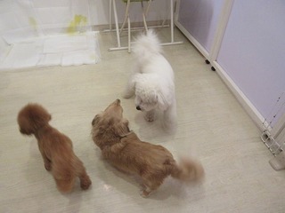 IMG_0779.jpg