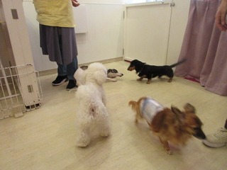 IMG_0783.jpg