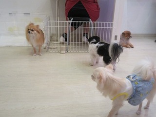 IMG_0794.jpg