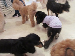 IMG_0802.jpg