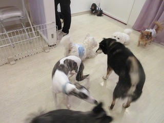 IMG_0820.jpg