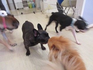 IMG_0825.jpg