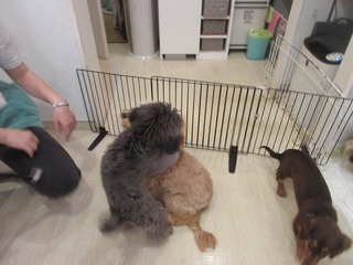 IMG_0830.jpg