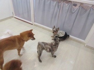 IMG_0848.jpg