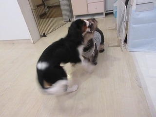 IMG_0851.jpg