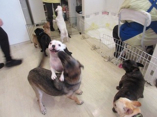 IMG_0851.jpg