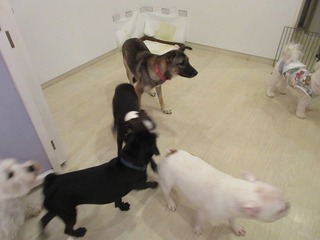 IMG_0853.jpg