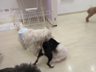 IMG_0859.jpg