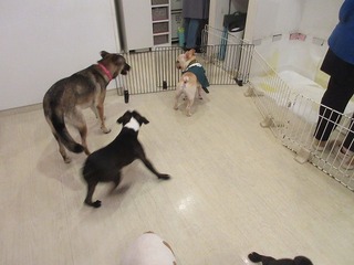 IMG_0859.jpg
