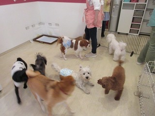 IMG_0871.jpg