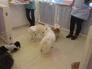 IMG_0888.jpg