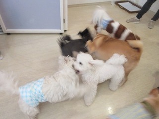 IMG_0889.jpg