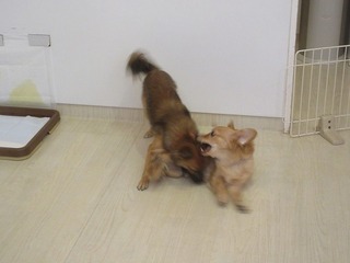 IMG_0889.jpg
