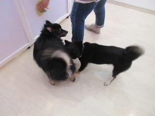 IMG_0890.jpg