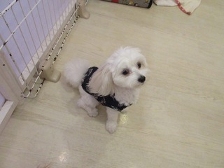 IMG_0903.jpg