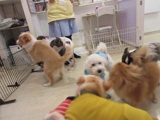 IMG_0922.jpg